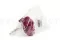 Hortensia preservada Magenta 12