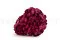 Konservierte Hortensie Magenta 7