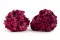 Preserved Hydrangea Magenta 4