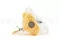 Ortensia stabilizzata Giallo 9