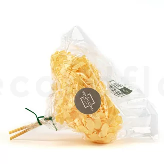Preserved Hydrangea Yellow
