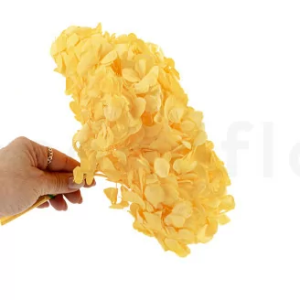 Hortensia preservado Amarillo