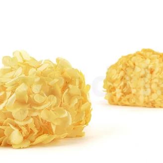 Hortensia preservado Amarillo
