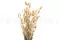 Lagurus Ovatus seco Natural 8