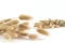 Lagurus Ovatus seco Natural 10