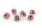 Rosa Majolica stabilizzata Rosa Antico (x6) 4