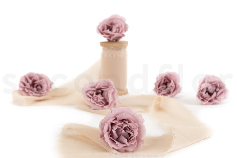 Majolica Rose Preserved - Box of 6 - Misty Rose