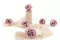 Preserved Majolica Rose Old Rose (x6) 1