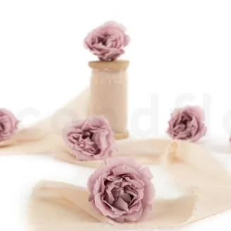 Rosa Majolica stabilizzata Rosa Antico (x6)