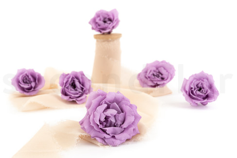 Majolica Rose Preserved - Box of 6 - Sweet Lilac