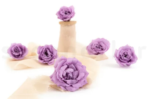 Rosa Majolica Preservada - Caja de 6 - Sweet Lilac