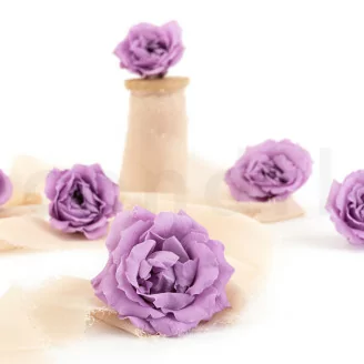 Rosa Majolica stabilizzata Lilla (x6)