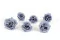Rose Majolica stabilis&eacute;e Bleu (x6) 5