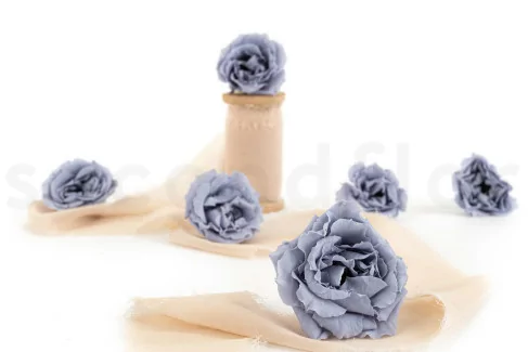 Rosa Majolica Preservada - Caja de 6 - Dusty Blue