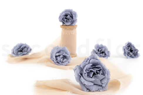Rosa Majolica Preservata - Scatola da 6 - Dusty Blue