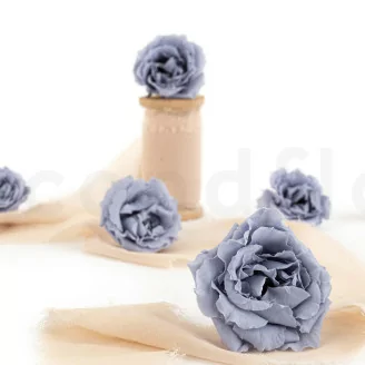Rosa Majolica preservada Azul (x6)