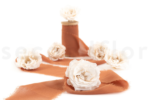 Rose Majolica Konserviert - Verpackung 6 St. - White Champagne