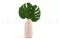 Foglia di Monstera stabilizzata (x3) 3