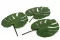 Foglia di Monstera stabilizzata (x3) 5