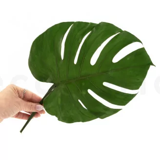 Foglia di Monstera stabilizzata (x3)