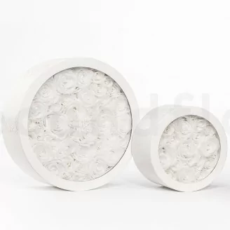 Round Box of preserved Roses White (Size M)
