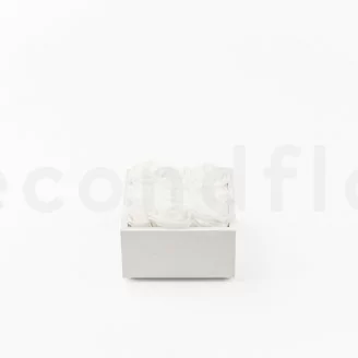 Quadratische Schachtel mit konservierten wei&szlig;en Rosen (Gr&ouml;&szlig;e M)