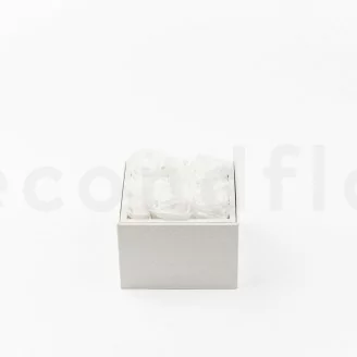 Square Box of preserved Roses White (Size M)