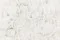 Scatola quadrata con rose bianche stabilizzate (taglia M) 3