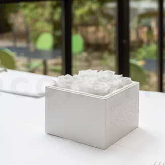 Square Box of preserved Roses White (Size M)