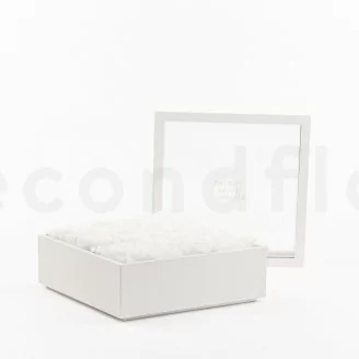 Square Box of preserved Roses White (Size L)
