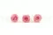 Rose stabilis&eacute;e XL Bridal Pink - Vrac (x432) 4