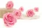 Preserved Rose XL Bridal Pink - Bulk (x432) 8