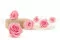 Rosa preservada XL Bridal Pink - Granel (x432) 11