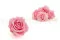 Rose stabilis&eacute;e XL Bridal Pink - Vrac (x432) 12
