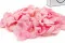 P&eacute;tales de Rose stabilis&eacute;s Rose 4