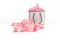 P&eacute;tales de Rose stabilis&eacute;s Rose 6