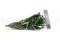 Preserved Boxwood 8
