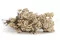 Konservierte Diosmi Natur 7