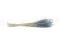 Dried Ouro Storm Blue 7
