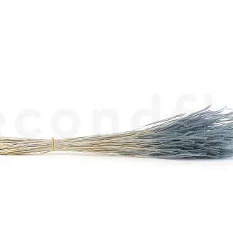 Ouro seco Storm Blue
