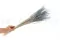 Ouro seco Storm Blue 5