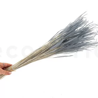 Ouro seco Storm Blue
