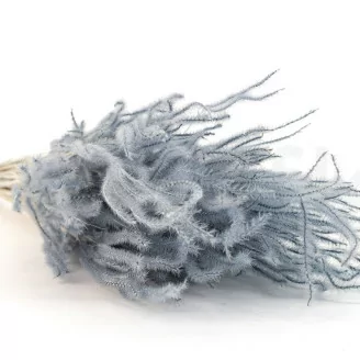 Ouro seco Storm Blue