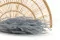 Ouro s&eacute;ch&eacute; Storm Blue 1