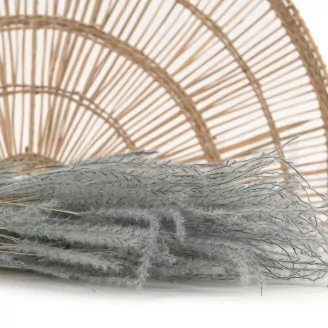 Dried Fine grass Storm Blue