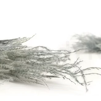 Dried Fine grass Storm Blue