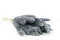 Dried Mini Pampa Storm Blue (x20) 5