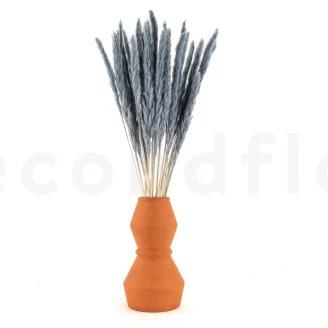 Mini pampa essiccata Storm Blue (x20)