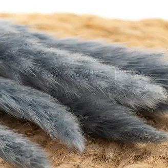 Dried Mini Pampa Storm Blue (x20)