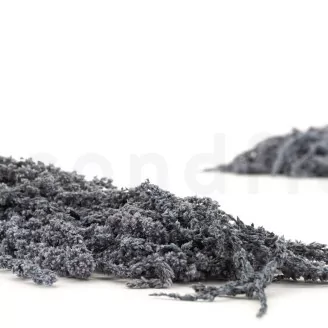 Preserved Amaranthus Storm Blue